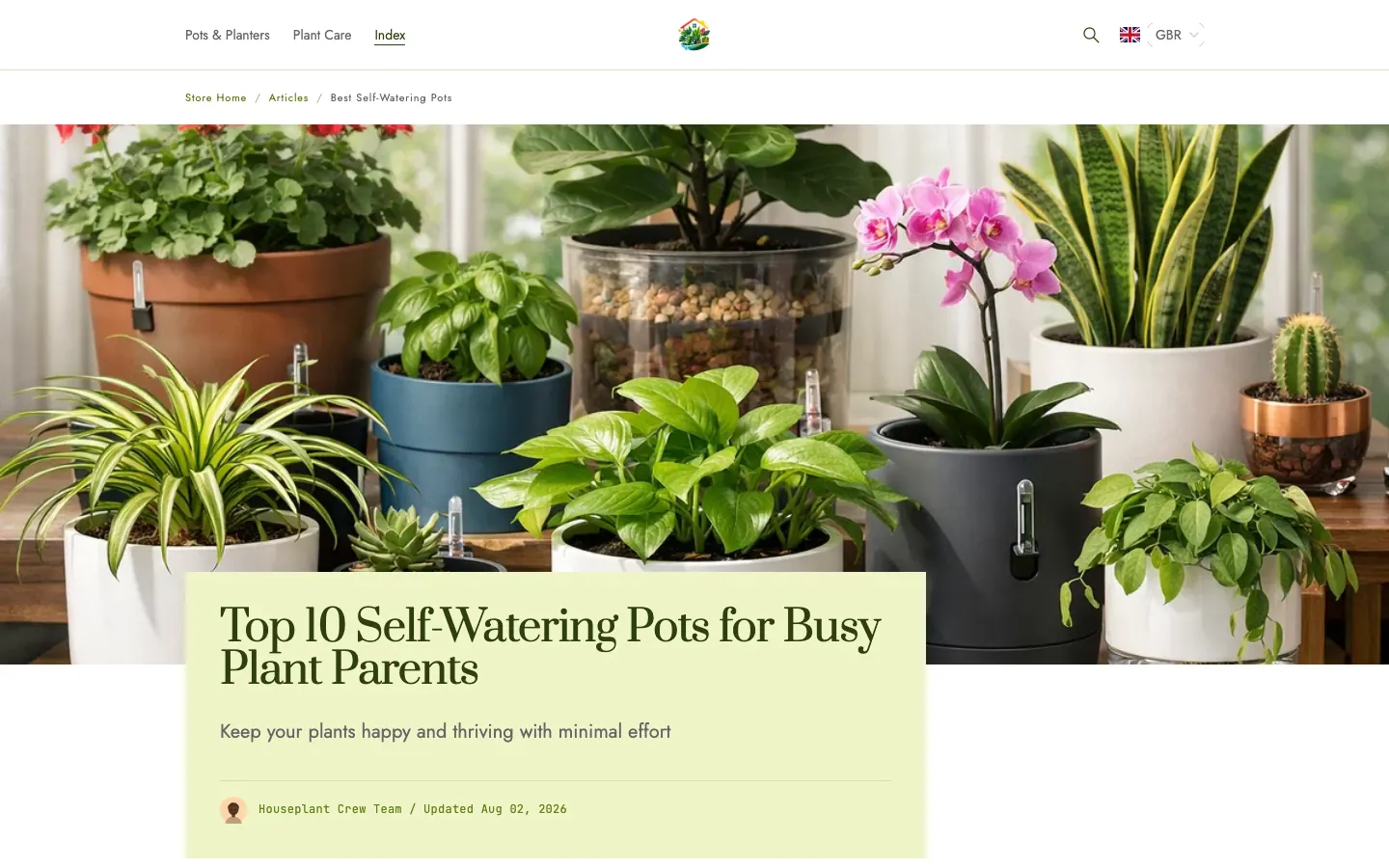 Vista article on houseplantcrew.com